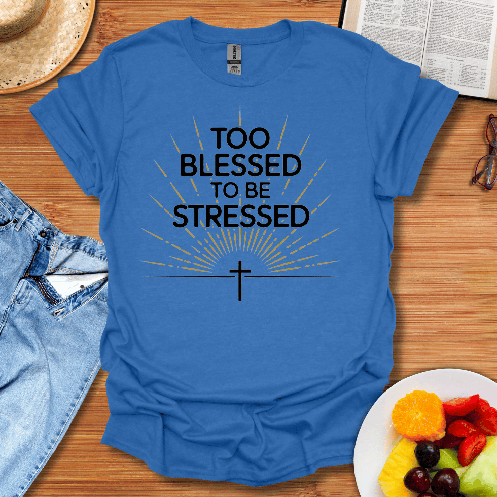 Too Blessed To Be Stressed T-Shirt